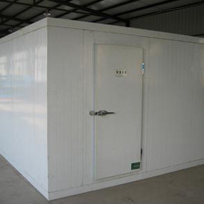 龙在开云APP官方入口下载