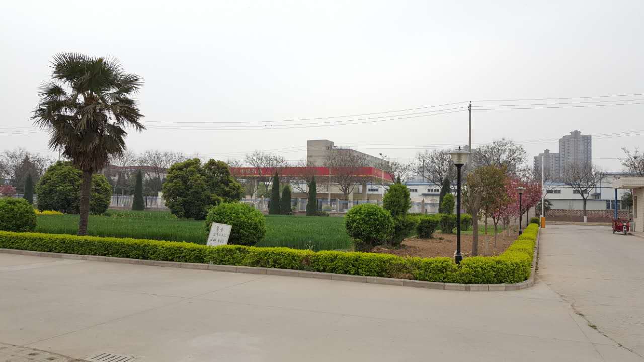 开云APP官方入口下载